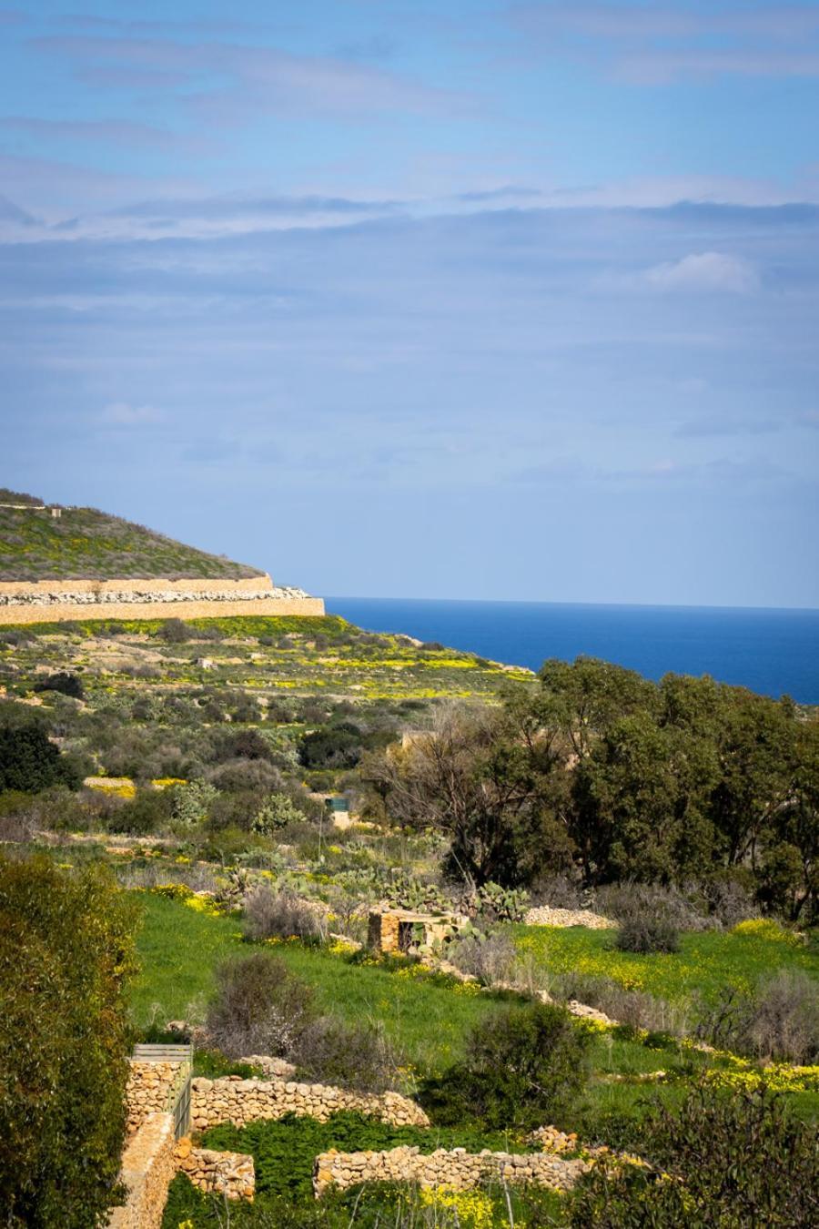 Il Figolla B&B Xagħra Dış mekan fotoğraf